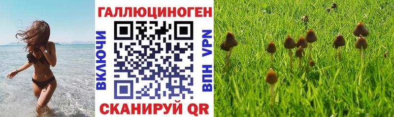Псилоцибиновые грибы Magic Shrooms  Мезень 